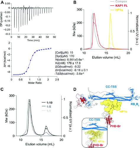 tudor h3|Structural mechanism of bivalent histone H3K4me3K9me3.